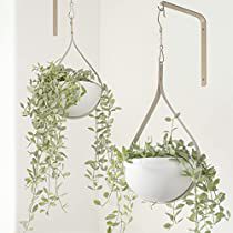 Check this out! Plant Hangers Indoor The Home Depot, Macrame Wall Hanging Pots & Planters, Macrame Plant Hanger For Bathroom, Hanging Plants Above Door, Metal Plant Pot Hangers, Metal Wall Hangers For Plants, Bathroom Plant No Light, Pot Plant Hanger, Plant Hanger Living Room