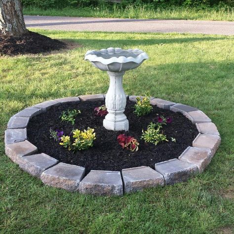 Bird bath with flower bed Pretty Yard Ideas, Bird Bath Decorating Ideas, Bird Bath Ideas Landscaping, Birdbath Ideas Landscaping, Birdbath Landscaping, Diy Birdbath Ideas, Birdbath Ideas, Bird Baths Homemade, Bird Bath Ideas