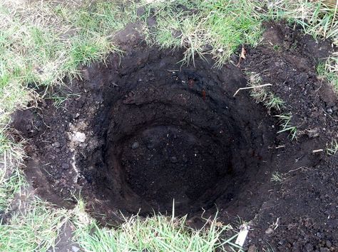 When we were growing our own food space was very important. We had a good sized garden, but not massive, and compost heaps take up a lot of room. Easy Composting, Compost Mulch, Survival Gardening, Garden Compost, Self Sufficiency, Master Gardener, Homestead Survival, Dry Leaf, Small Space Gardening