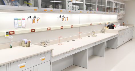 Food Laboratory Design, Dental Laboratory Design Interiors, Laboratory Cabinet, Laboratory Office, Laboratory Interior, Good Laboratory Practice, Medical Lab Technician, Maker Labs, Laboratory Design