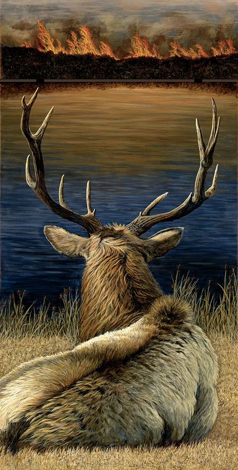 SILENT WARNING BY CLAIRE DUNCAN Deer Photography, Regnul Animal, Deer Pictures, Deer Wall Art, Deer Painting, Wildlife Pictures, Wildlife Artwork, Wild Animals Pictures, Digital Oil Painting