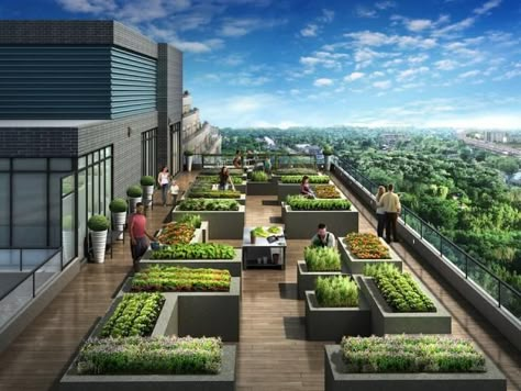 Garden On The Roof, Roof Garden Plan, Rooftop Garden Urban, Terrace Garden Ideas, Roof Garden Design, Terrace Garden Design, Rooftop Terrace Design, Rooftop Design, Garden Architecture