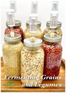 Fermented Lentils, Fermented Beans, Pickled Beans, Fermented Vegetables Recipes, Fermented Veggies, Fermented Pickles, Better Digestion, Gut Health Recipes, Fermentation Recipes