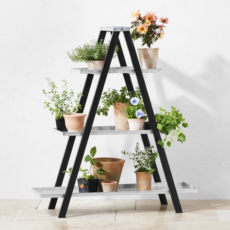 Bathroom Ladder Shelf The Home Depot, Homemade Hanging Plant Stands, Make A Ladder Shelf, Modern Farmhouse Plant Stands, Ladder Shelf Garden, Ladder Wreath Display, A Frame Wooden Shelf, Ikea Plant Stand Ladder, Decorative Ladder Ideas