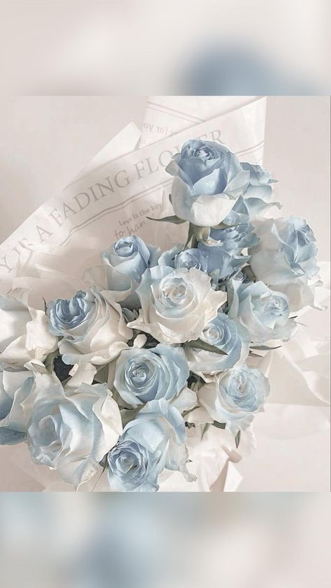 헬로키티 배경화면, Blue Roses Wallpaper, Baby Blue Wallpaper, Blue Flower Wallpaper, Cute Blue Wallpaper, Baby Blue Aesthetic, Light Blue Aesthetic, Blue Aesthetic Pastel, Light Blue Flowers