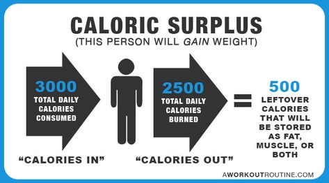 Caloric Surplus, Caloric Deficit, Muscle Building Diet, Build Muscle Fast, Weight Calculator, Fast Fat Loss, Muscle Food, Maintain Weight, 1200 Calories