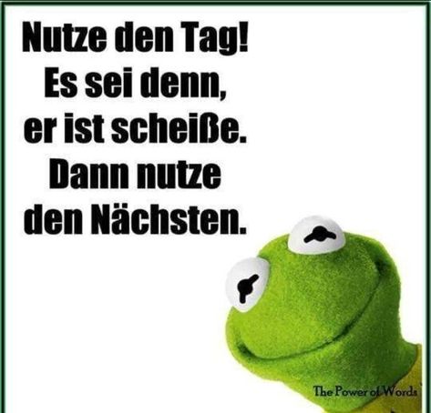 Kermit Meme, Kermit The Frog, Soul Quotes, Strong Quotes, Good Morning Good Night, The Frog, Fashion Quotes, Jokes Quotes, Beautiful Quotes