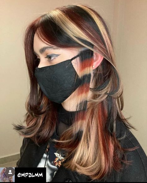 Calico Racoon Tail Hair, Underdye Hair With Highlights, Raccoon Highlights, Multi Hair Color Ideas, Tri Color Hair, Racoon Tail Hair, Enby Hair, Raccoon Tail Hair, Calico Hair