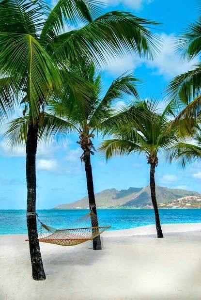 Photo - Google Photos Saint Vincent And The Grenadines, Palm Island, Saint Vincent, Tropical Beaches, Beaches In The World, Island Resort, Vacation Places, Caribbean Islands, Seychelles