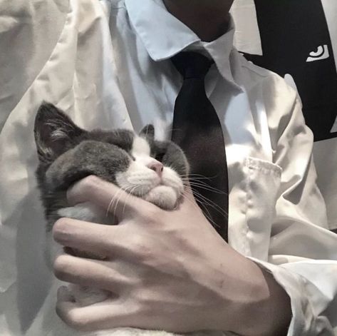 Man And Cat Aesthetic, Boy Hands Aesthetic, Man With Cat Aesthetic, Aesthetic Wattpad, Arte Zombie, Whatsapp Theme, Hot Hands, Gentleman Aesthetic, Hand Reference