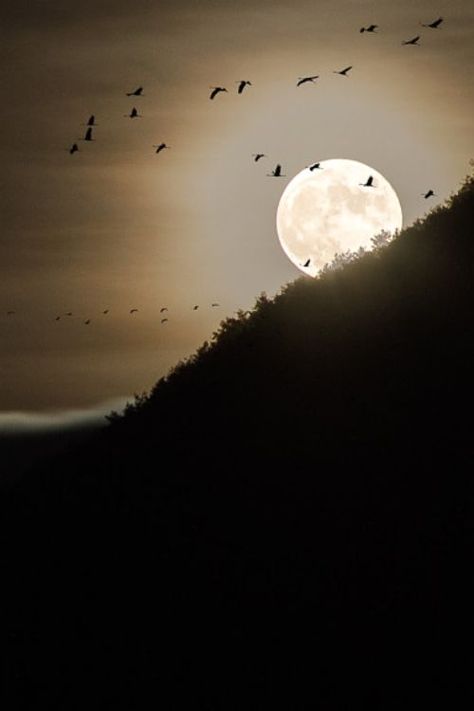 Moon At Night, Glowing Moon, Mid Night, Big Moon, Shoot The Moon, Moon Shadow, Night Beauty, Moon Pictures, Good Night Moon