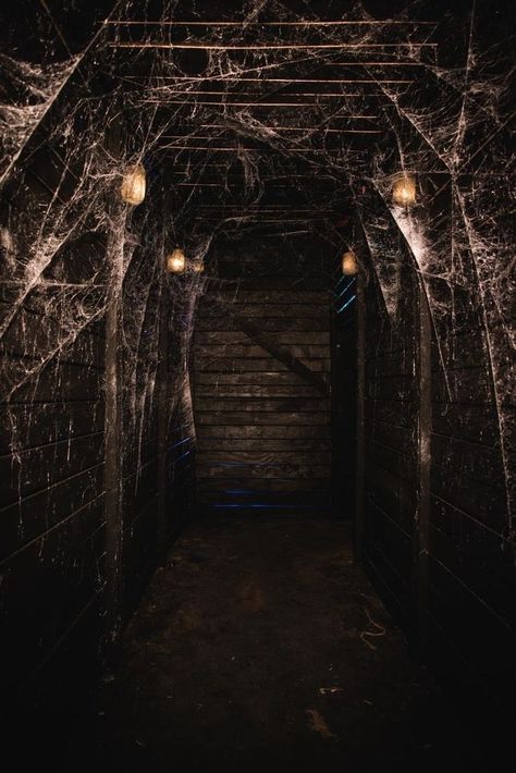 Home Haunt, spider web tunnel. House Spider, Spider Webs, Spiders, Spider Web, Haunted House, Future House, Hallway, Halloween Decorations