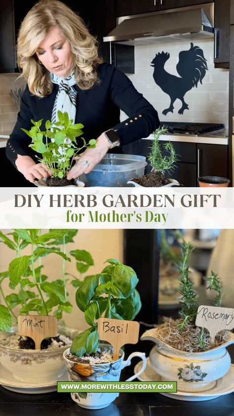 Surprise Mom with a thoughtful and inexpensive gift this Mother's Day!  This easy DIY project lets you create a charming herb garden using unique containers from a thrift store. With a touch of creativity and some recycled materials, you can craft a beautiful and functional gift  From vintage teacups to cut glass serving pieces, get ready to transform thrifted treasures into a delightful herb garden that keeps on giving! Thrifted Mothers Day Gift, Herb Garden Gift, Herb Gifts, Thrift Store Art, Diy Herb Garden, Garden Gift, Vintage Teacups, Travel Diy, Inexpensive Gift