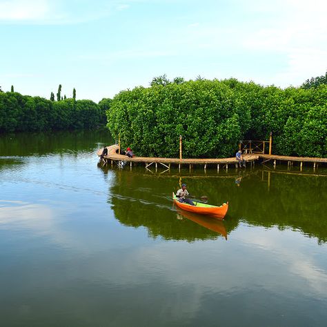 The new Mangrove Trekking of Maerokoco park, or Puri Maerokoco, is one of the most sought out travel destinations in Indonesia today. Located in Central... - Indonesia.Travel - Google+ Mangrove Park, Floating Architecture, Mangrove Forest, Permaculture Design, Central Java, Landscape Design Plans, Parking Design, Travel Photo, Urban Farming