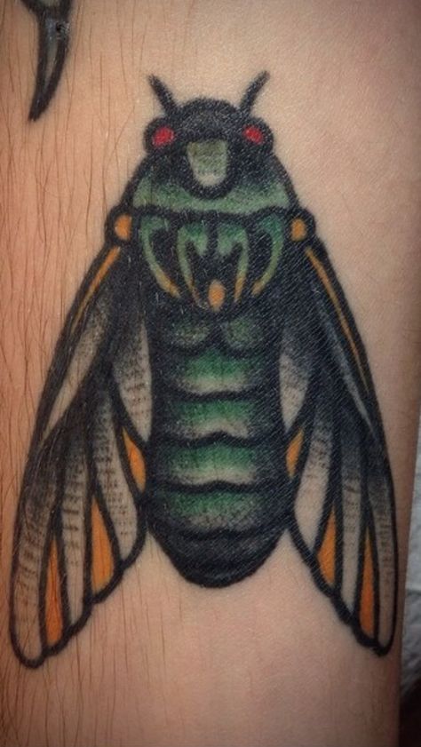 American Traditional Cicada Tattoo, Cicada Tattoo Traditional, Traditional Insect Tattoo, Insect Tattoos, American Style Tattoo, Cicada Tattoo, Filler Tattoos, Collage Tattoo, Insect Tattoo