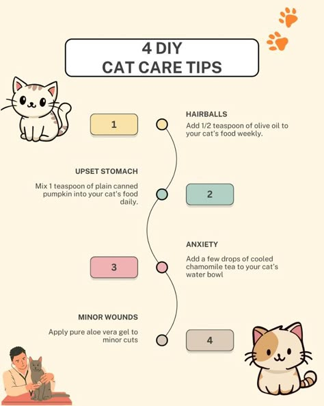 Kittens Care Tips, Cat Health Tips, Cat Care Tips Kittens, How To Care For A Kitten, How To Pet A Cat, New Cat Owner Tips, Cat Tips Life Hacks, How To Take Care Of A Cat, Cat Feeding Schedule