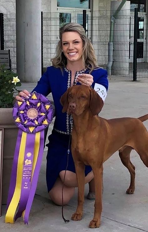 Dog Show Handler Outfits Women, Dog Show Outfits, Dog Show Outfits Women, Best In Show Dog, Dog Show Aesthetic, Dog Shows, 222 Poster, Show Dogs, Westminster Dog Show