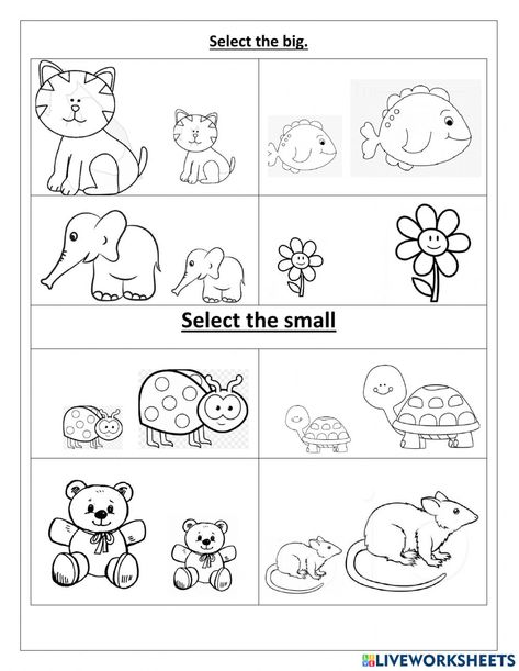 Worksheets For Toddlers, Nursery Worksheets, Alphabet Activities Kindergarten, Fun Worksheets For Kids, Rainbow Mobile, Preschool Workbooks, English Activities For Kids, Animal Worksheets, Kids Worksheets Preschool