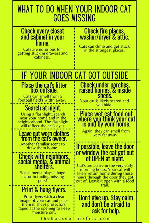 Cat’s are sneaky. They are also determined. So when your indoor cat gets curious of the wonder that is the outdoors, they will figure it out. Here are some helpful tips you can use in the event your indoor cat goes missing. Cat Tips Indoor, How To Keep Your Cat Entertained, How To Purr Like A Cat, Cat Care Tips Kittens, How To Care For Kittens Tips, Cat Purring Facts, Raised Homes, Grooming Hacks, Inside Cat