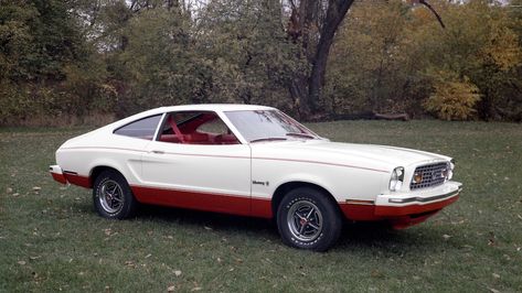 1976 Ford Mustang, Mustang Hatchback, Ford Mustang Classic, Amc Gremlin, 65 Mustang, Car Jokes, Amc Javelin, Alternative Fuel, Mustang Ii