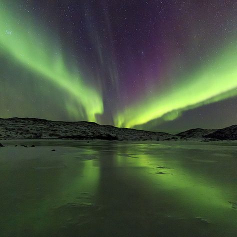 Norwegian Auroras Norwegian Culture, Cloud Costume, Norwegian People, Culture Aesthetic, My Father's World, Stars At Night, Oh The Places Youll Go, Scandinavia, Wonders Of The World