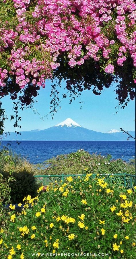 Frutillar é uma cidadezinha fofa, vizinha a Puerto Varas, na região dos lagos chilena,  que tem vistas maravilhosas do Vulcão Osorno, à beira do Lago Ilanquihue. Chile. América do Sul. Landscape Borders, Patagonia Argentina, Amazing Pics, Paloma, Beautiful Landscapes, Beautiful Gardens, South America, Places To See, The Good Place