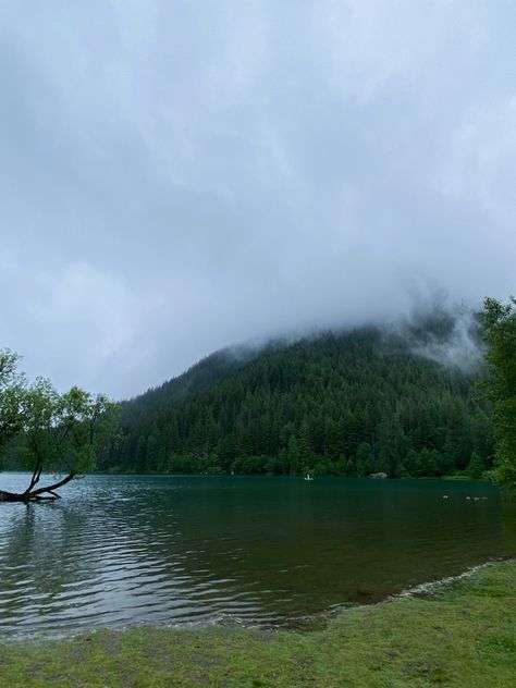 Washington State Forest, Washington Forks, Forks Washington Twilight Aesthetic, Washington State Aesthetic, Forks Washington Twilight, Washington Lakes, Forks Washington, Dark Naturalism, Lazy Summer Days