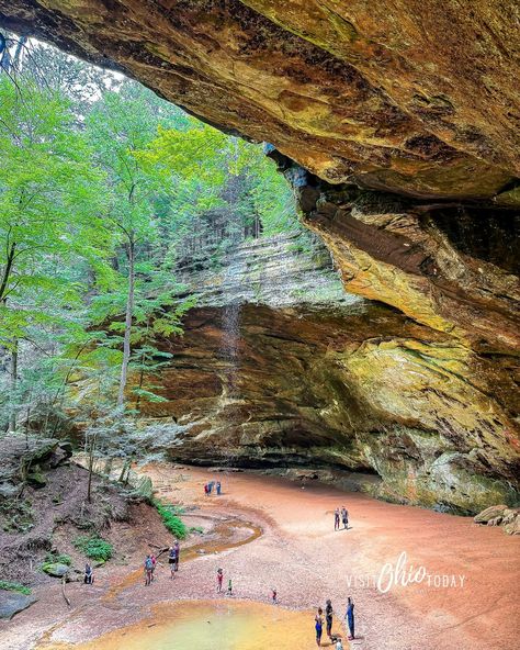 Ash Cave in Hocking Hills State Park - We just visited!⁠ ⁠ 🥾 Location: Southern end of Hocking Hills, near South Bloomingville, Ohio⁠ 🥾 Region: Southeastern Ohio, within the expansive Hocking Hills⁠ 🥾 Scenic Attractions: Ohio's largest recess cave, featuring a sweeping overhang and, depending on the season, a delicate or robust waterfall⁠ 🥾 Accessibility: The path to Ash Cave is paved and accessible, making it easy for everyone to enjoy the stunning views. The paved path does send, but the wa... Ohio Hiking, Ohio Vacations, Hocking Hills State Park, Hocking Hills, Hiking Nature, Cave In, G Adventures, Nature Adventure, Get Outside