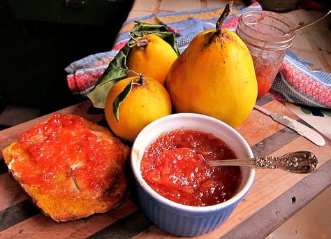 Quince Marmalade Is a Gem of a Jam - Tall Clover Farm Quince Marmalade Recipe, Quince Chutney, Quince Jam Recipe, Quince Jam, Quince Recipes, Quince Jelly, Quince Fruit, Marmalade Jam, Marmalade Recipe