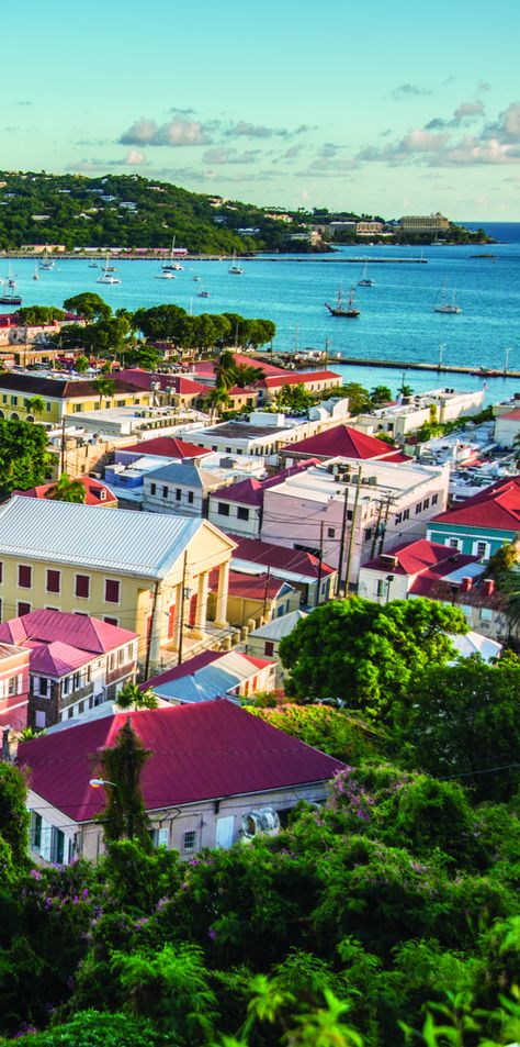 Charlotte Amalie St Thomas, St. Thomas, Tropical Caribbean, St Thomas Virgin Islands, Charlotte Amalie, Vacation 2024, Christmas Cruise, 2023 Mood, Virgin Island