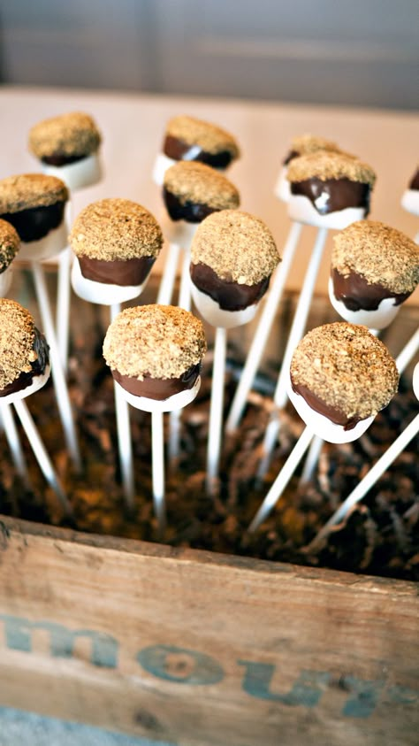 DIY Marshmallow S’more Pops Smores Pops, Smores Sticks, Marshmallow Smores, Marshmallow Sticks, Marshmallow Roasting Sticks, Smore Recipes, Smores Cake, Chocolate Covered Marshmallows, Shower Desserts