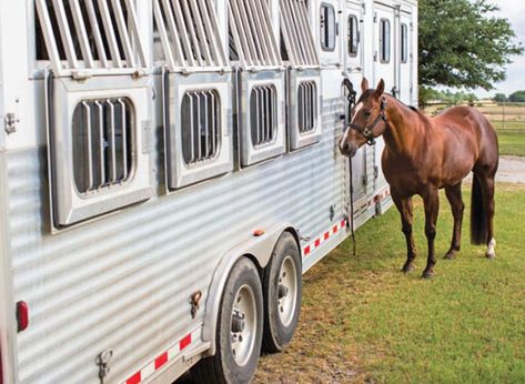 Horse Trailer Hacks, Horse Trailer Organization, Trailer Hacks, Horse Transport, Tack Rooms, Trailer Organization, Cowgirl Life, Equestrian Problems, Barrel Racing Horses