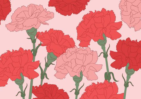 Carnation Vector Background Incredibles Wallpaper, Carnation Drawing, Red Carnation, Carnation Flower, Photography Illustration, Book Layout, Botanical Drawings, Digital Flowers, Watercolor Background