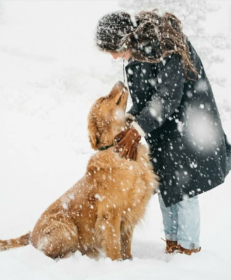 Golden Retriever Snow, Dog Photography Poses, Snow Pictures, Snow Photography, Golden Life, Dog Photoshoot, Winter Photoshoot, Winter Mood, Winter's Tale