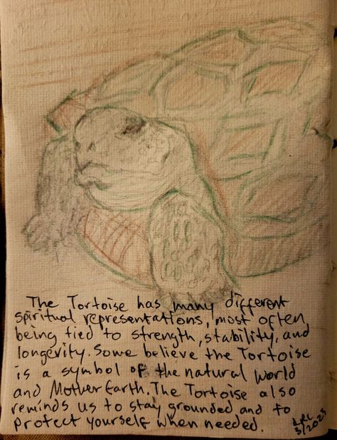 Retracted Tortoise Spiritual Meaning, by LRL Tortoise Spiritual Meaning, Tortoise Symbolism, Animal Symbolism, Spiritual Meaning, Mother Earth, Natural World, Tortoise, Meant To Be, Spirituality