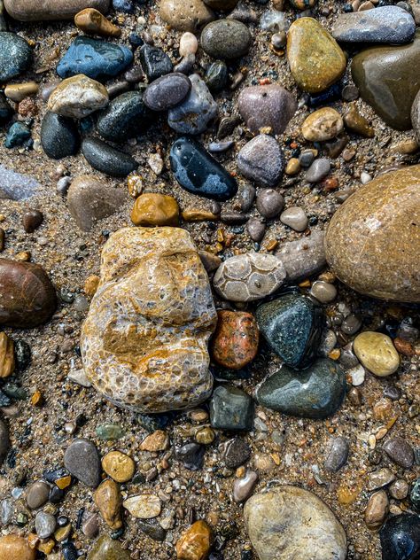 Petosky Stone, Petoskey Stone, Rock And Pebbles, Redbubble Art, Stone Design, Black Artists, Digital Art Prints, Different Types, Top Artists