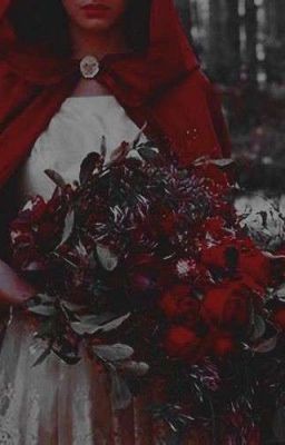 i have seen you in the fairy garden #fanfiction #Fanfiction #amreading #books #wattpad Red Riding Hood Aesthetic, Hood Aesthetic, Cerise Hood, Red Ridding Hood, Aesthetic Red, Princess Aesthetic, Little Red Riding Hood, Red Aesthetic, Ever After High