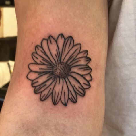 Daisy Tattoo Daisy Tattoo, Lotus Flower Tattoo, Leaf Tattoos, Maple Leaf Tattoo, Flower Tattoo, Daisy, Tattoos