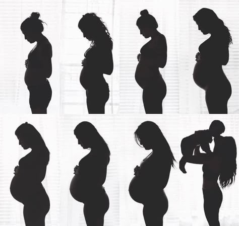 Pregnancy Timeline Photos, Monthly Pregnancy Pictures, Weekly Baby Bump Pictures, Pregnancy Progress Pictures, Weekly Pregnancy Pictures, Baby Bump Progression, Pregnancy Timeline, Baby Bump Pictures, Baby Announcement Photoshoot