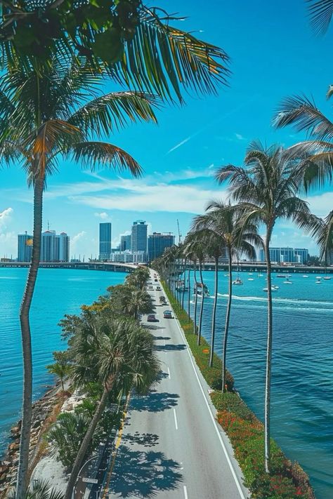 Miami Luxury Aesthetic, Miami Poses, Beach City Aesthetic, Miami Florida Aesthetic, Miami Landscape, Miami Beach Aesthetic, Miami View, Pool Party Vibes, My Year In Review