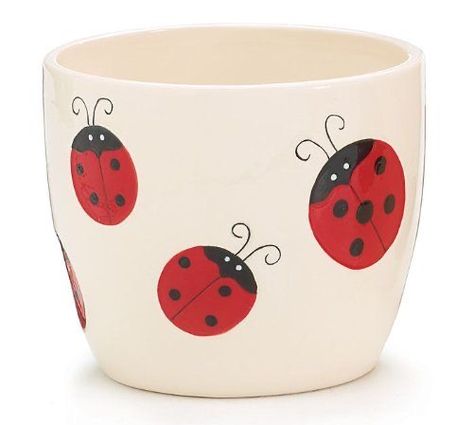 Ladybug Life Cycle, White Ladybug, Terra Cotta Pot Crafts Diy, Ladybug Decorations, Adorable Home, Ladybug Theme, Flower Pot Art, Painted Clay Pots, Ladybug Wallpaper