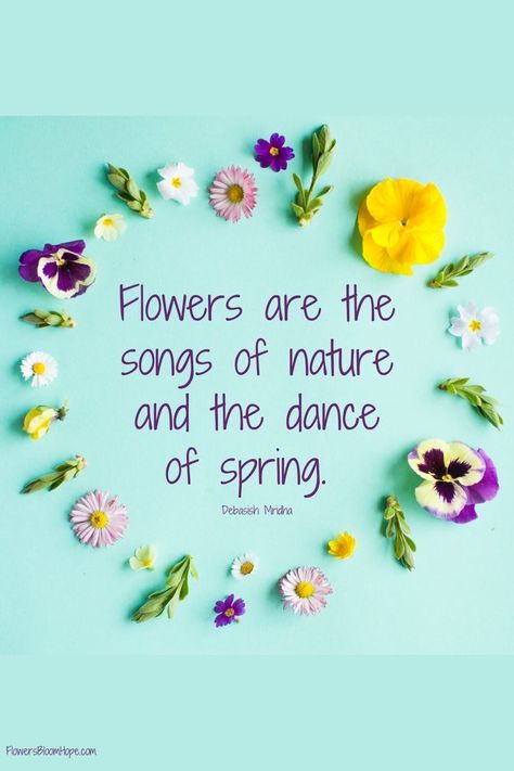 Gardening Sayings, Hello Spring Quotes, Spring Chalkboard, March Quotes, April Quotes, New Month Quotes, June Flower, May Quotes, Gardening Quotes