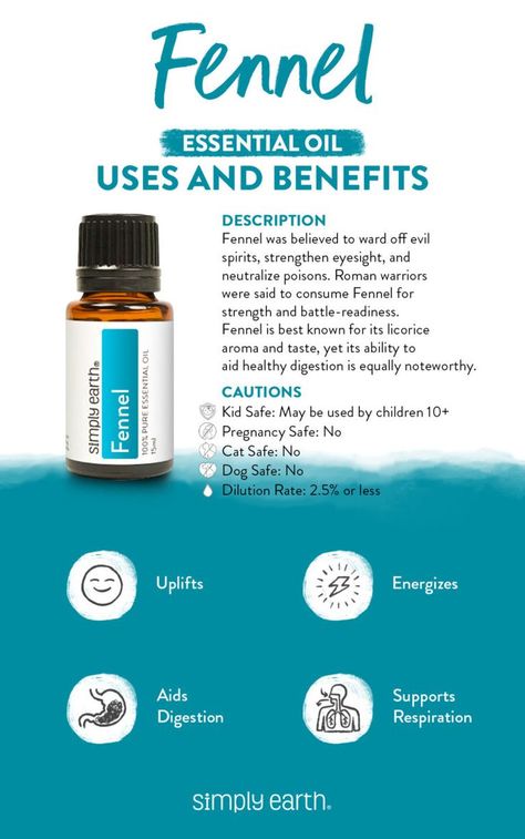 Essential Oils Cats, Benefits Of Fennel, Essential Oils Properties, Fennel Oil, Fennel Essential Oil, Essential Oils Dogs, Simply Earth, Essential Oil Education, List Of Essential Oils