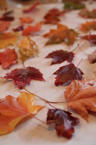 Preserving Leaves, Potpourri Diy, Fall Potpourri, Fall Vase, Fleurs Diy, Decor Hacks, Home Decor Hacks, Autumn Crafts, Leaf Garland