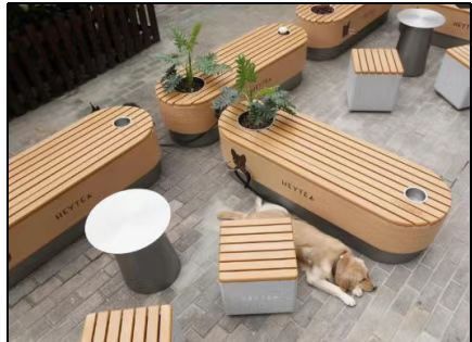 Beauty Shop Design, Park Design Ideas, Mall Landscape, Dog Park Design, Modern Pet Furniture, Dog Station, Pet Store Design, Dog Boarding Facility, Dog Backyard