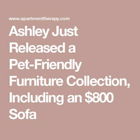 Ashley Just Released a Pet-Friendly Furniture Collection, Including an $800 Sofa Living Room Furniture Pet Friendly, Pet Friendly Sofa Fabric, Pet Friendly Living Room Furniture, Pet Friendly Couch Fabrics, Pet Friendly Furniture Living Rooms, Dog Friendly Furniture Living Rooms, Cat Friendly Couch, Pet Friendly Couches Living Room, Best Couches For Dog Owners