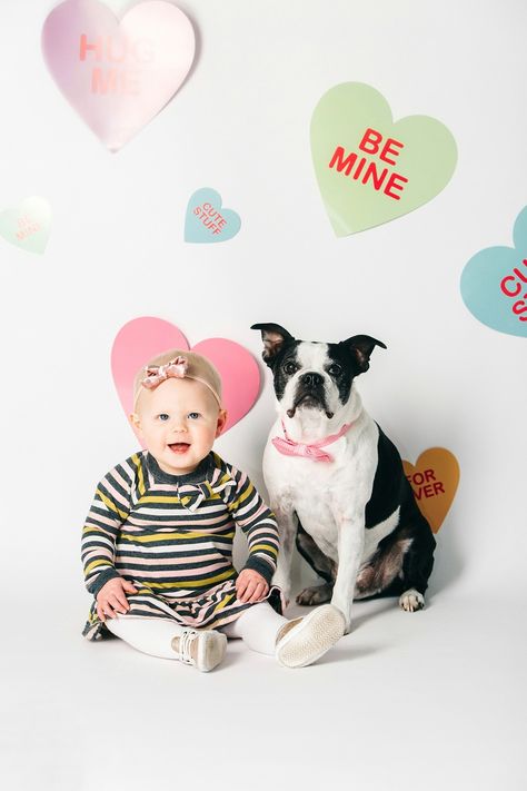 Photography Valentines Day, Valentine Mini Session, Mini Puppies, Puppy Photography, Puppy Kisses, Photography Lifestyle, Mini Session, Mini Sessions, Valentines Day Decorations