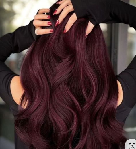 Best Burgundy Hair Dye, Brown Hair Dyed Red, Best Red Hair Dye, Dark Red Hair Dye, Dark Burgundy Hair Color, Pelo Color Borgoña, Burgundy Red Hair, Dark Burgundy Hair, Reddish Brown Hair Color