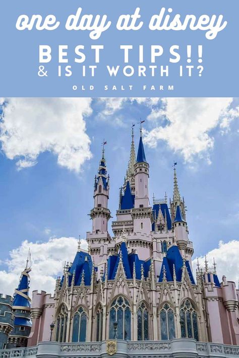 Disney In One Day, Disney World In One Day, Disney World For Adults, 2 Days Trip, I Have No One, World Days, One Day, Disney Trips, First World