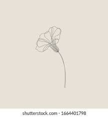 Continuous Line Morning Glory, Morning Glory Dainty Tattoo, One Line Morning Glory Tattoo, Minimal Morning Glory Tattoo, Morning Glory Line Tattoo, Dainty Morning Glory Tattoo, Morning Glory Minimalist Tattoo, Morning Glory Line Drawing, Morning Glory Line Art